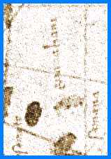 Fragment of the Juan de la Cosa 
map